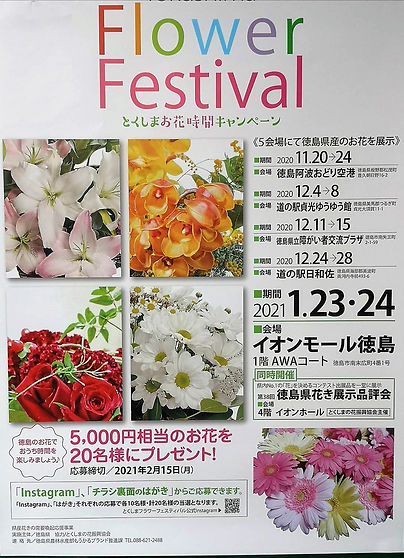 1607054375291.jpg